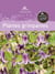 Guide des plantes grimpantes