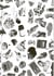 Marc Brandenburg : 20th Century Debris