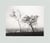 Robert Adams : Los Angeles spring