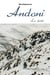 Andoni t.1 - la fuite