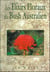 Élixirs floraux bush australien
