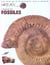L'ENIGME DES FOSSILES