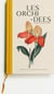 Les orchidées
