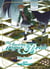 The ancient magus bride : merkmal