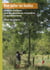 Bien tailler les feuillus : Conseils pratiques pour l'entretien des plantations forestières et agroforestières