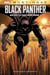 Black Panther : qui est la panthère noire ?