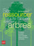 Se ressourcer toute l'année avec les arbres - conseils et idées pour plonger dans les bains de forêt