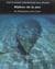 L'encyclopedie d'archeologie sous-marine t.2 - maitres de la mer - les pheniciens et les grecs