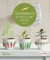 Gourmandises en porcelaine froide