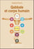 Qabbale et corps humain