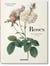 Pierre-Joseph Redouté : Roses