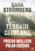 Terrain glissant