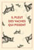 Il pleut des vaches qui pissent