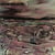 Earth rot