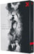 La Collection Carl Theodor Dreyer - Le maître du logis + Vampyr + Jour de colère + Ordet + Gertrud