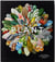 PLANT: EXPLORING THE BOTANICAL WORLD