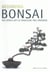 Beginning bonsai