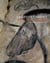 La grotte Chauvet - l'art des origines