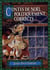 CONTES DE NOEL POLITIQUEMENT CORRECTS