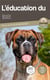 L'éducation du Boxer : toutes les astuces pour un Boxer bien éduqué
