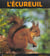 L'ecureuil