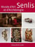 Senlis - musée d'art et d'archéologie