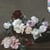 Power, Corruption & Lies