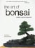 The art of bonsai