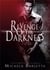 Revenge of the darkness : spin off
