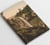 Reliefs : carnet Massif central : cascade de Salins