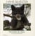Portraits de chats