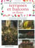 Comment fleurir toute l'annee terrasses et balcons
