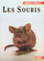 Souris