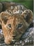 Baby animals