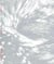 Syrinx