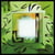The Shutov Assembly - CD