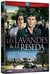 Les Lavandes & le réséda