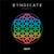 Sentry Records Presents: Syndicate 2