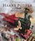 Harry Potter Tome 1 : Harry Potter à l'école des sorciers