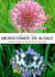 MICROCOSMOS EN ALSACE  Regards inédits sur le petit monde d'un jardin