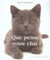 Que pense votre chat ?
