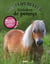 Mes Belles Histoires De Poneys