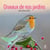 Oiseaux de nos jardins : calendrier (édition 2022)