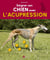 Soigner son chien avec l'acupression