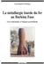 Métallurgie lourde du fer au Burkina Faso (La)