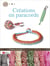 Creations En Paracord