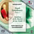 Symphonies De Jeunesse /vol.4