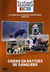 Chiens en battues de sangliers