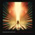 Rise From The Ashes - Vinyle