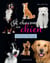 A chacun son chien